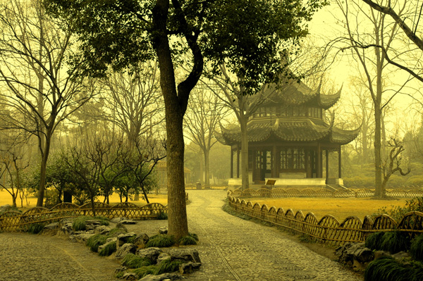 Sample Image 10