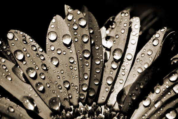 Sample Image 6